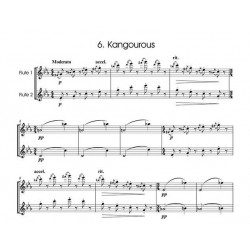 Carnaval des Animaux arrangement pour 2 flutes - partition - Avignon